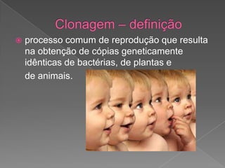  processo comum de reprodução que resulta
na obtenção de cópias geneticamente
idênticas de bactérias, de plantas e
de animais.
 