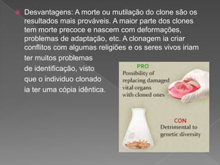  Desvantagens: A morte ou mutilação do clone são os
resultados mais prováveis. A maior parte dos clones
tem morte precoce e nascem com deformações,
problemas de adaptação, etc. A clonagem ia criar
conflitos com algumas religiões e os seres vivos iriam
ter muitos problemas
de identificação, visto
que o individuo clonado
ia ter uma cópia idêntica.
 