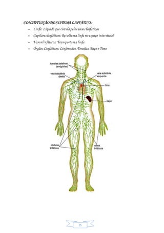 15
CONSTITUIÇÃODOSISTEMA LINFÁTICO :
 Linfa: Líquido que circula pelos vasos linfáticos
 Capilares linfáticos: Recolhema linfa no espaço intersticial
 Vasos linfáticos: Transportam a linfa
 Órgãos Linfáticos: Linfonodos,Tonsilas,Baço e Timo
 