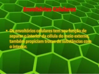 Envoltórios Celulares
• Os envoltórios celulares tem seu função de
separar o interior da célula do meio externo,
também propiciam trocas de substâncias com
o interior.
 