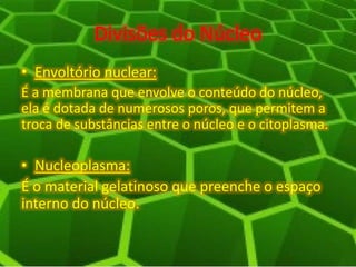 Divisões do Núcleo
• Envoltório nuclear:
É a membrana que envolve o conteúdo do núcleo,
ela é dotada de numerosos poros, que permitem a
troca de substâncias entre o núcleo e o citoplasma.
• Nucleoplasma:
É o material gelatinoso que preenche o espaço
interno do núcleo.
 