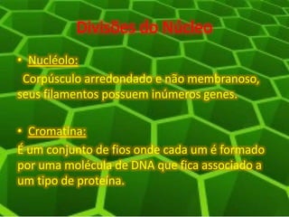 Divisões do Núcleo
• Nucléolo:
Corpúsculo arredondado e não membranoso,
seus filamentos possuem inúmeros genes.
• Cromatina:
É um conjunto de fios onde cada um é formado
por uma molécula de DNA que fica associado a
um tipo de proteína.
 