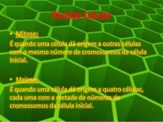 Divisão Celular
• Mitose:
É quando uma célula dá origem a outras células
com o mesmo número de cromossomos da célula
inicial.
• Meiose:
É quando uma célula dá origem a quatro células,
cada uma com a metade de números de
cromossomos da célula inicial.
 