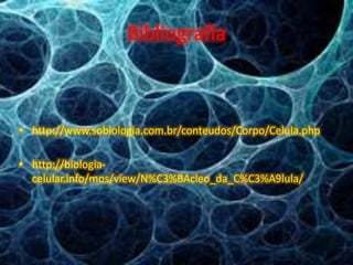 Bibliografia
• http://www.sobiologia.com.br/conteudos/Corpo/Celula.php
• http://biologia-
celular.info/mos/view/N%C3%BAcleo_da_C%C3%A9lula/
 