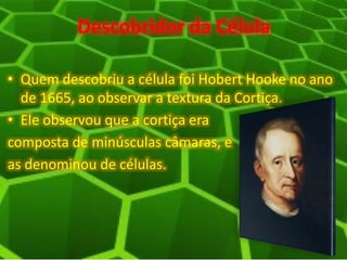 Descobridor da Célula
• Quem descobriu a célula foi Hobert Hooke no ano
de 1665, ao observar a textura da Cortiça.
• Ele observou que a cortiça era
composta de minúsculas câmaras, e
as denominou de células.
 