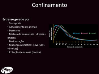Confinamento

Estresse gerado por:
   • Transporte
   • Agrupamento de animais
   • Desmame
   • Mistura de animais de diversas
   origens
   • Desidratação
   • Mudanças climáticas (inversões
   térmicas)
   • Irritação da mucosa (poeira)
 