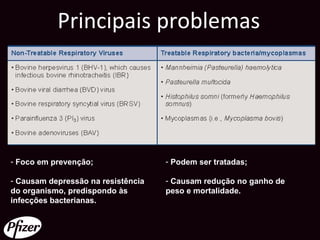 Principais problemas




- Foco em prevenção;                - Podem ser tratadas;

- Causam depressão na resistência   - Causam redução no ganho de
do organismo, predispondo às        peso e mortalidade.
infecções bacterianas.
 