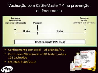 Vacinação com CattleMaster® 4 na prevenção
                da Pneumonia




• Confinamento comercial – Uberlândia/MG
• Curral com 202 animais = 101 testemunha e
  101 vacinados
• Set/2009 à Jan/2010
 