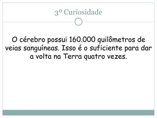 3º Curiosidade
O cérebro possui 160.000 quilômetros de
veias sanguíneas. Isso é o suficiente para dar
a volta na Terra quatro vezes.
 