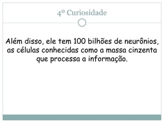 4º Curiosidade
Além disso, ele tem 100 bilhões de neurônios,
as células conhecidas como a massa cinzenta
que processa a informação.
 