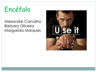 Encéfalo
Alexandre Carvalho
Bárbara Oliveira
Margarida Marques
 