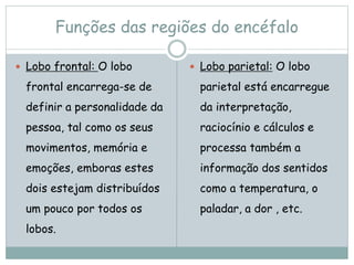Funções das regiões do encéfalo
 Lobo frontal: O lobo
frontal encarrega-se de
definir a personalidade da
pessoa, tal como os seus
movimentos, memória e
emoções, emboras estes
dois estejam distribuídos
um pouco por todos os
lobos.
 Lobo parietal: O lobo
parietal está encarregue
da interpretação,
raciocínio e cálculos e
processa também a
informação dos sentidos
como a temperatura, o
paladar, a dor , etc.
 