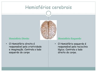 Hemisférios cerebrais
• O Hemisfério direito é
responsável pela criatividade
e imaginação. Controla o lado
esquerdo do corpo
• O Hemisfério esquerdo é
responsável pelo raciocínio
lógico. Controla o lado
direito do corpo.
Hemisfério Direito Hemisfério Esquerdo
 