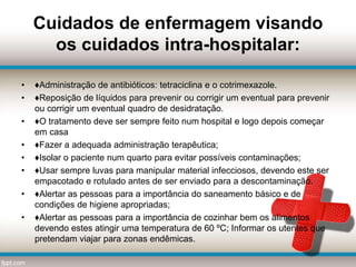 Cuidados de enfermagem visando
os cuidados intra-hospitalar:
• ♦Administração de antibióticos: tetraciclina e o cotrimexazole.
• ♦Reposição de líquidos para prevenir ou corrigir um eventual para prevenir
ou corrigir um eventual quadro de desidratação.
• ♦O tratamento deve ser sempre feito num hospital e logo depois começar
em casa
• ♦Fazer a adequada administração terapêutica;
• ♦Isolar o paciente num quarto para evitar possíveis contaminações;
• ♦Usar sempre luvas para manipular material infecciosos, devendo este ser
empacotado e rotulado antes de ser enviado para a descontaminação.
• ♦Alertar as pessoas para a importância do saneamento básico e de
condições de higiene apropriadas;
• ♦Alertar as pessoas para a importância de cozinhar bem os alimentos
devendo estes atingir uma temperatura de 60 ºC; Informar os utentes que
pretendam viajar para zonas endêmicas.
 