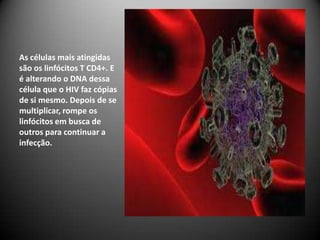 As células mais atingidas
são os linfócitos T CD4+. E
é alterando o DNA dessa
célula que o HIV faz cópias
de si mesmo. Depois de se
multiplicar, rompe os
linfócitos em busca de
outros para continuar a
infecção.
 