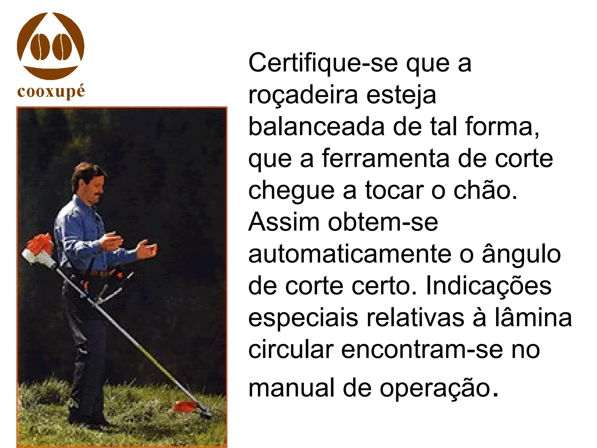 Certifique-se que a
roçadeira esteja
balanceada de tal forma,
que a ferramenta de corte
chegue a tocar o chão.
Assim obtem-se
automaticamente o ângulo
de corte certo. Indicações
especiais relativas à lâmina
circular encontram-se no
manual de operação.
 