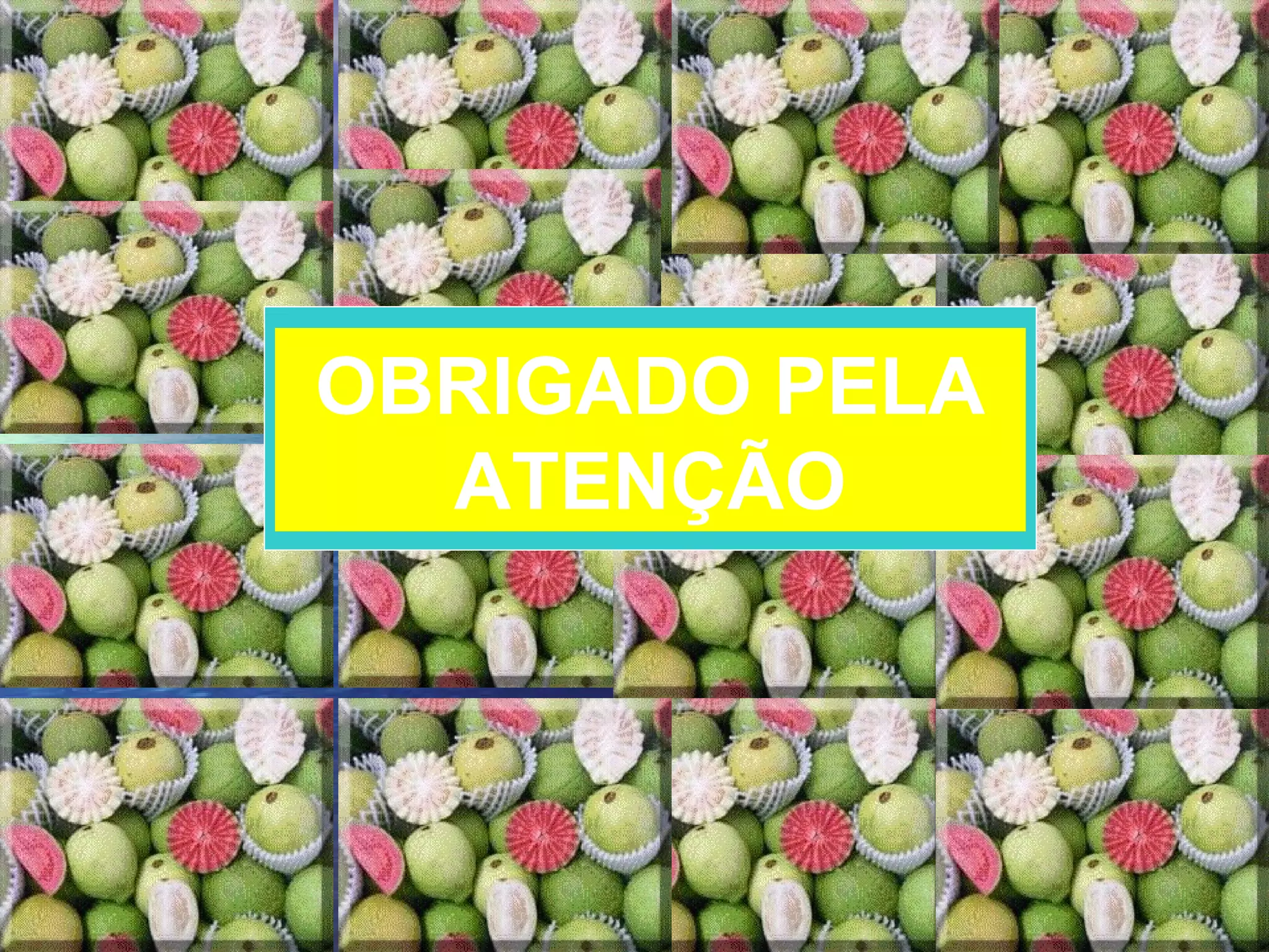 FIM OBRIGADO PELA ATENÇÃO OBRIGADO PELA ATENÇÃO 