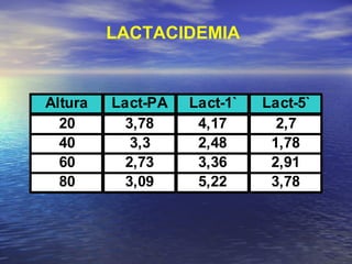LACTACIDEMIA 