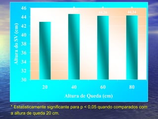 * Estatisticamente significante para p < 0,05 quando comparados com a altura de queda 20 cm.   * * * 