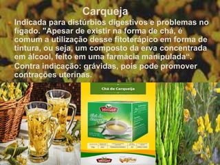 Carqueja
 Indicada para distúrbios digestivos e problemas no
fígado. "Apesar de existir na forma de chá, é
comum a utilização desse fitoterápico em forma de
tintura, ou seja, um composto da erva concentrada
em álcool, feito em uma farmácia manipulada“.
 Contra indicação: grávidas, pois pode promover
contrações uterinas.
 