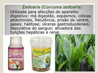 Zedoária (Cúrcuma zedoaria)
 Utilizada para afecções do aparelho
digestivo: má digestão, espasmos, cólicas
abdominais, flatulência, prisão de ventre,
gases; halitose; úlceras gastroduodenais;
depurativa do sangue; ativadora das
funções hepáticas e renal.
 