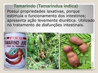 Tamarindo (Tamarindus indica)
 Possui propriedades laxativas, porque
estimula o funcionamento dos intestinos;
apresenta ação levemente diurética. Utilizado
no tratamento de disfunções intestinais.
 