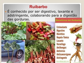 Ruibarbo
 É conhecido por ser digestivo, laxante e
adstringente, colaborando para a digestão
das gorduras.
 