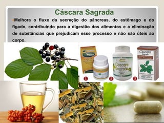 Cáscara Sagrada
Melhora o fluxo da secreção do pâncreas, do estômago e do
fígado, contribuindo para a digestão dos alimentos e a eliminação
de substâncias que prejudicam esse processo e não são úteis ao
corpo.
 