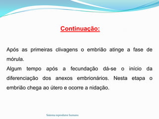 Continuação:


Após as primeiras clivagens o embrião atinge a fase de
mórula.
Algum tempo após a fecundação dá-se o início da
diferenciação dos anexos embrionários. Nesta etapa o
embrião chega ao útero e ocorre a nidação.




                Sistema reprodutor humano
 