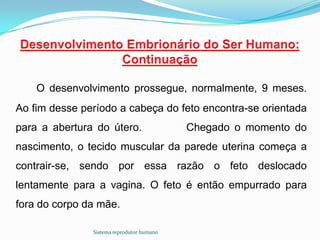 O desenvolvimento prossegue, normalmente, 9 meses.
Ao fim desse período a cabeça do feto encontra-se orientada
para a abertura do útero.                  Chegado o momento do
nascimento, o tecido muscular da parede uterina começa a
contrair-se, sendo por essa razão o feto deslocado
lentamente para a vagina. O feto é então empurrado para
fora do corpo da mãe.

               Sistema reprodutor humano
 