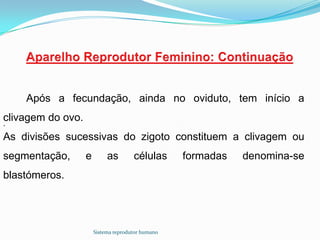 Após a fecundação, ainda no oviduto, tem início a
clivagem do ovo.
.
As divisões sucessivas do zigoto constituem a clivagem ou
segmentação,       e        as        células      formadas   denomina-se
blastómeros.




                       Sistema reprodutor humano
 
