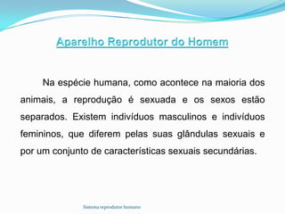 Na espécie humana, como acontece na maioria dos
animais, a reprodução é sexuada e os sexos estão
separados. Existem indivíduos masculinos e indivíduos
femininos, que diferem pelas suas glândulas sexuais e
por um conjunto de características sexuais secundárias.




              Sistema reprodutor humano
 
