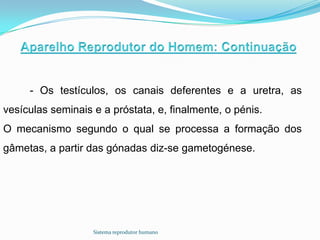 - Os testículos, os canais deferentes e a uretra, as
vesículas seminais e a próstata, e, finalmente, o pénis.
O mecanismo segundo o qual se processa a formação dos
gâmetas, a partir das gónadas diz-se gametogénese.




                   Sistema reprodutor humano
 