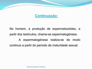 Continuação:


No homem, a produção de espermatozóides, a
partir dos testículos, chama-se espermatogénese.
      A espermatogénese realiza-se de modo
contínuo a partir do período de maturidade sexual.




            Sistema reprodutor humano
 