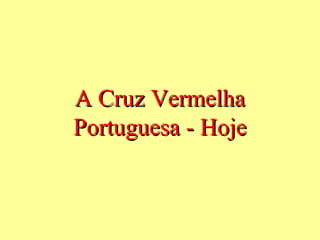 A Cruz Vermelha
Portuguesa - Hoje
 