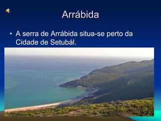 ArrábidaA serra de Arrábida situa-se perto da Cidade de Setubál.