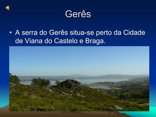 GerêsA serra do Gerês situa-se perto da Cidade de Viana do Castelo e Braga.