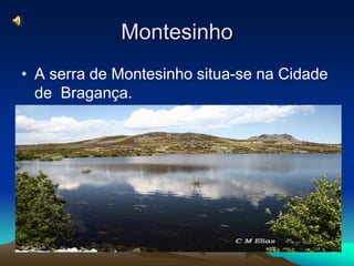 Montesinho
• A serra de Montesinho situa-se na Cidade
  de Bragança.
 