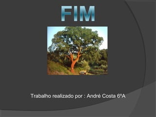 Trabalho realizado por : André Costa 6ºA
 