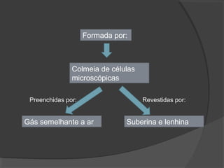 Colmeia de células
microscópicas
Formada por:
Gás semelhante a ar Suberina e lenhina
Preenchidas por: Revestidas por:
 