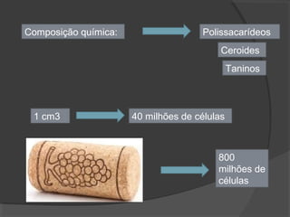 1 cm3 40 milhões de células
800
milhões de
células
Composição química:
Ceroides
Taninos
Polissacarídeos
 