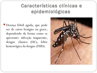 Características clínicas e
                epidemiológicas

Doença febril aguda, que pode
 ser de curso benigno ou grave,
 dependendo da forma como se
 apresente: infecção inaparente,
 dengue clássico (DC), febre
 hemorrágica da dengue (FHD).
 