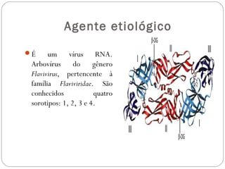 Agente etiológico

É     um vírus RNA.
 Arbovírus do gênero
 Flavivirus, pertencente à
 família Flaviviridae. São
 conhecidos            quatro
 sorotipos: 1, 2, 3 e 4.
 