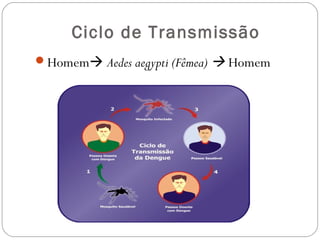 Ciclo de Transmissão
Homem Aedes aegypti (Fêmea)  Homem
 