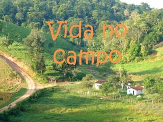 Vida no
campo
 