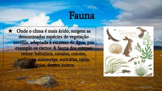 Fauna
★ Onde o clima é mais árido, surgem as
denominadas espécies de vegetação
xeróﬁla, adaptada à escassez de água, por
exemplo os cactos. A fauna dos estepes
reúne: babuínos, cavalos, coiotes,
antílopes, marmotas, suricatas, ratos,
águias, dentre outros.
 