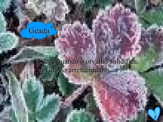 Geada Surge quando o orvalho solidifica, devido ao arrefecimento. 8 