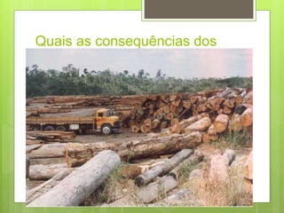 Quais as consequências dos
desmatamentos ?
 