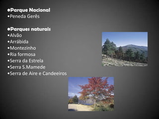 •Parque Nacional
•Peneda Gerês

•Parques naturais
•Alvão
•Arrábida
•Montezinho
•Ria formosa
•Serra da Estrela
•Serra S.Mamede
•Serra de Aire e Candeeiros
 