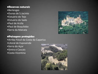 •Reservas naturais
•Berlengas
•Dunas de S.Jacinto
•Estuário do Tejo
•Estuário do Sado
•Paul de Arzila
•Paul de Boquilobo
•Serra da Malcata

•Paisagens protegidas
•Arriba Fóssil da Costa da Caparica
•Litoral de Esposende
•Serra do Açor
•Sintra e Cascais
•Costa Vicentina
 
